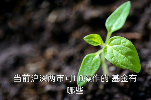 當(dāng)前滬深兩市可t 0操作的 基金有哪些