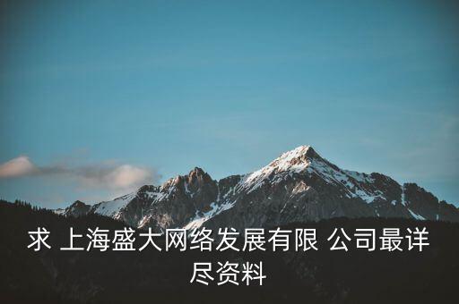 求 上海盛大網(wǎng)絡(luò)發(fā)展有限 公司最詳盡資料