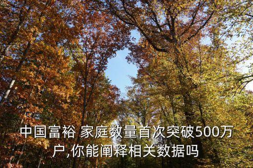 中國富裕 家庭數(shù)量首次突破500萬戶,你能闡釋相關數(shù)據(jù)嗎