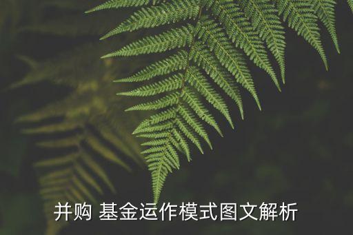 并購 基金運作模式圖文解析