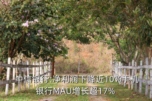  中信銀行:凈利潤下降近10%手機(jī)銀行MAU增長(zhǎng)超17%