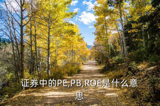 證券中的PE,PB,ROE是什么意思