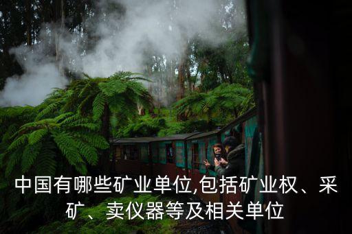 中國有哪些礦業(yè)單位,包括礦業(yè)權(quán)、采礦、賣儀器等及相關(guān)單位