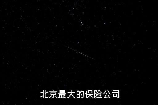  北京最大的保險(xiǎn)公司