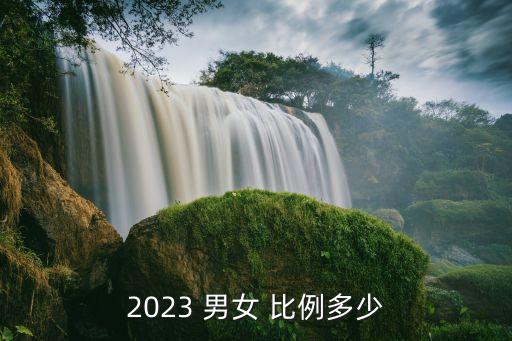 2023 男女 比例多少