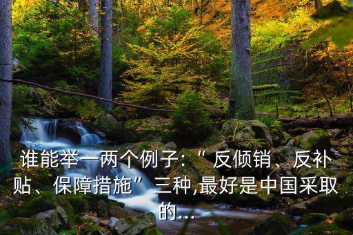 誰能舉一兩個例子:“ 反傾銷、反補貼、保障措施”三種,最好是中國采取的...