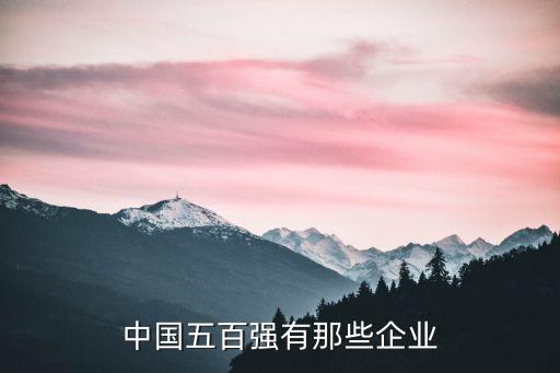 中國(guó)五百?gòu)?qiáng)有那些企業(yè)