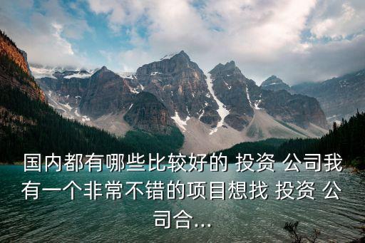 國內(nèi)都有哪些比較好的 投資 公司我有一個非常不錯的項目想找 投資 公司合...