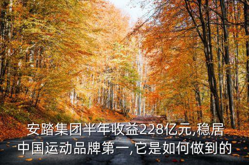 安踏公司市場銷售額,安踏年銷售額2022