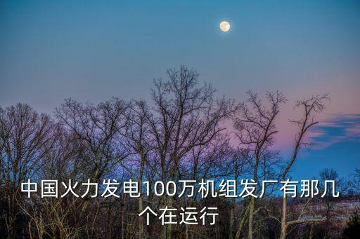 中國火力發(fā)電100萬機組發(fā)廠有那幾個在運行