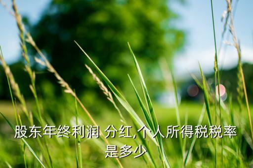 股東年終利潤(rùn) 分紅,個(gè)人所得稅稅率是多少