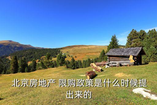  北京房地產(chǎn) 限購政策是什么時候提出來的