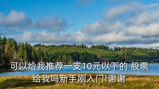 可以給我推薦一支10元以下的 股票給我嗎新手剛?cè)腴T(mén)!謝謝