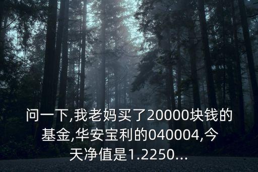 問一下,我老媽買了20000塊錢的 基金,華安寶利的040004,今天凈值是1.2250...