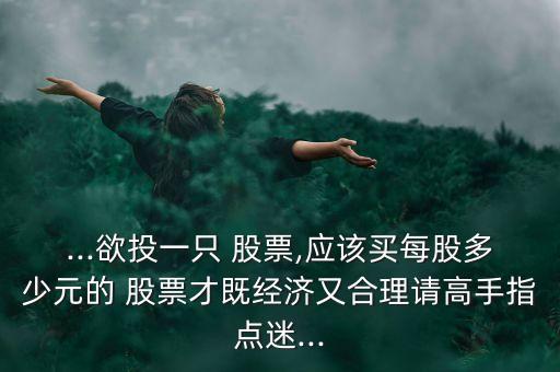 ...欲投一只 股票,應該買每股多少元的 股票才既經(jīng)濟又合理請高手指點迷...