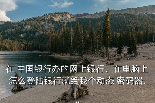 在 中國銀行辦的網(wǎng)上銀行、在電腦上怎么登陸銀行就給我個(gè)動(dòng)態(tài) 密碼器...