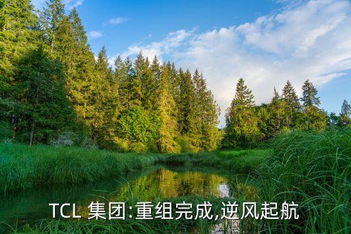 tcl集團2015年報