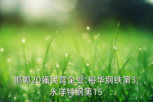 邯鄲20強(qiáng)民營(yíng)企業(yè):裕華鋼鐵第3,永洋特鋼第15