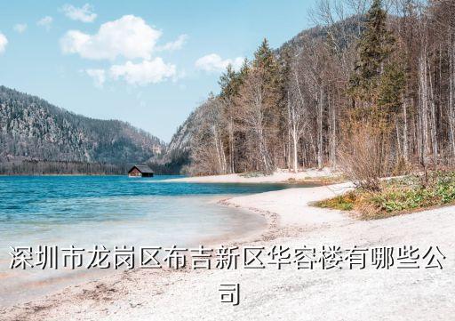 深圳市龍崗區(qū)布吉新區(qū)華容樓有哪些公司