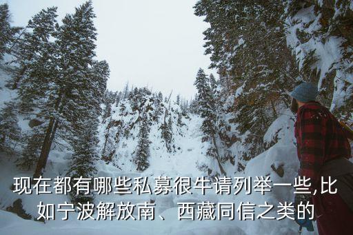 現(xiàn)在都有哪些私募很牛請(qǐng)列舉一些,比如寧波解放南、西藏同信之類(lèi)的