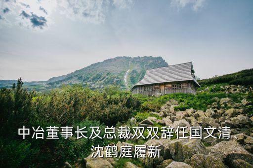  中冶董事長(zhǎng)及總裁雙雙辭任國(guó)文清、沈鶴庭履新