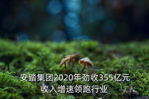  安踏集團(tuán)2020年勁收355億元收入增速領(lǐng)跑行業(yè)