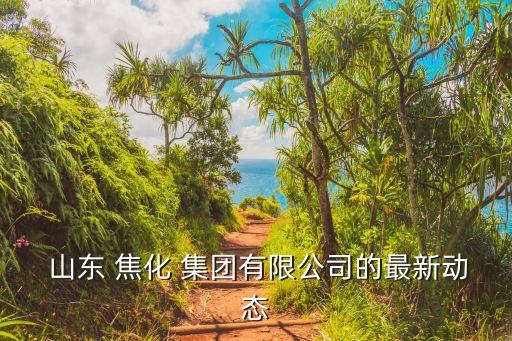  山東 焦化 集團有限公司的最新動態(tài)