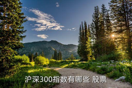 滬深300指數(shù)有哪些 股票