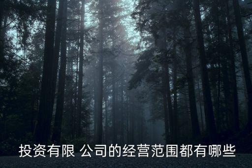 投資公司業(yè)務(wù)開展,什么是投資公司它的業(yè)務(wù)是什么