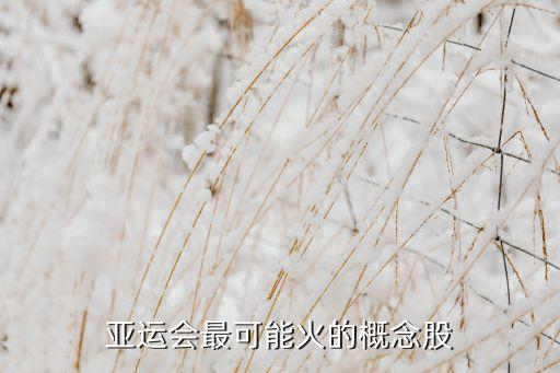 亞運(yùn)會(huì)最可能火的概念股