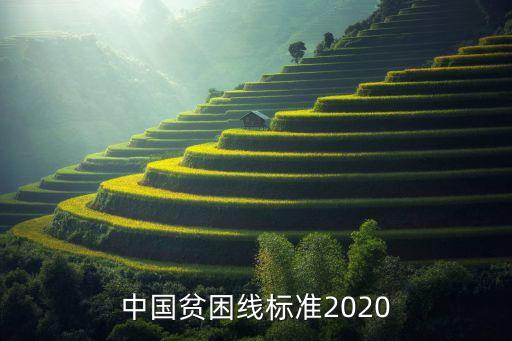 中國貧困線標準2020