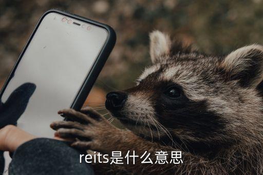 reits是什么意思