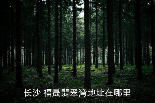 福晟集團借殼,甕福(集團)有限責任公司借殼