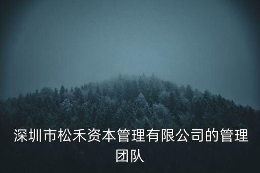  深圳市松禾資本管理有限公司的管理團(tuán)隊(duì)