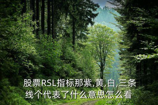  股票RSL指標(biāo)那紫,黃,白,三條線個(gè)代表了什么意思怎么看