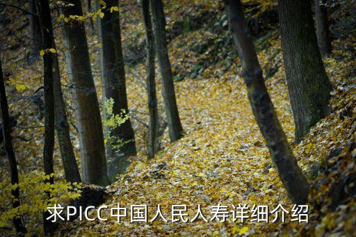 求PICC中國人民人壽詳細介紹