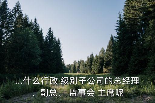 ...什么行政 級(jí)別子公司的總經(jīng)理、副總、 監(jiān)事會(huì) 主席呢