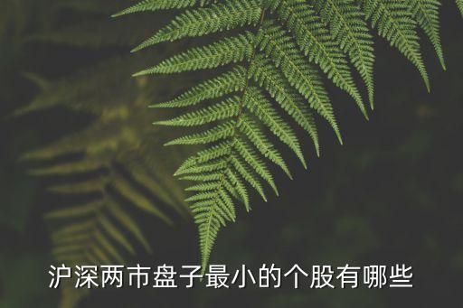 滬深兩市盤子最小的個股有哪些