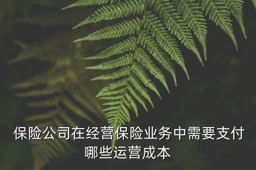  保險(xiǎn)公司在經(jīng)營保險(xiǎn)業(yè)務(wù)中需要支付哪些運(yùn)營成本