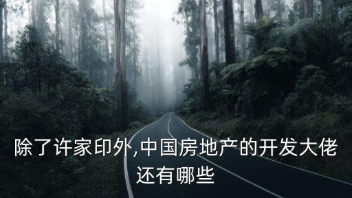 除了許家印外,中國房地產(chǎn)的開發(fā)大佬還有哪些