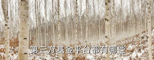 第三方投資與理財(cái)網(wǎng),中短期投資與理財(cái)網(wǎng)