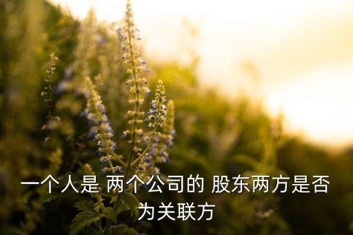 一個(gè)人是 兩個(gè)公司的 股東兩方是否為關(guān)聯(lián)方