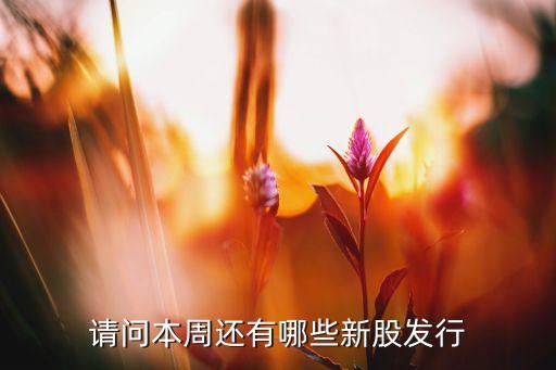 請(qǐng)問(wèn)本周還有哪些新股發(fā)行