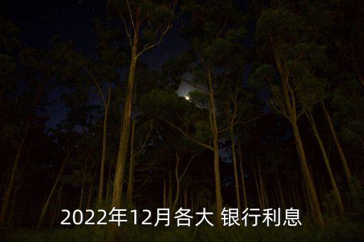 2022年12月各大 銀行利息