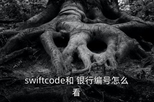 swiftcode和 銀行編號怎么看