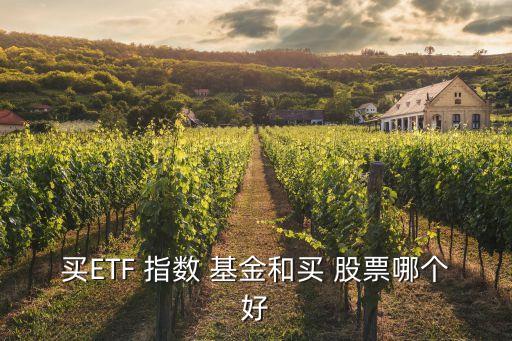 買ETF 指數(shù) 基金和買 股票哪個好