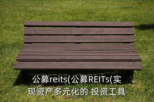 公募reits(公募REITs(實(shí)現(xiàn)資產(chǎn)多元化的 投資工具