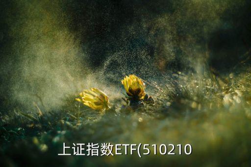 上證指數(shù)ETF(510210