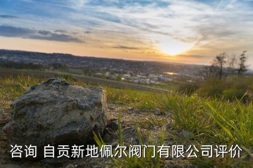 咨詢 自貢新地佩爾閥門有限公司評(píng)價(jià)