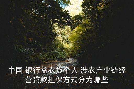 中國 銀行益農(nóng)貸個(gè)人 涉農(nóng)產(chǎn)業(yè)鏈經(jīng)營貸款擔(dān)保方式分為哪些